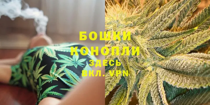 Шишки марихуана Ganja  Видное 